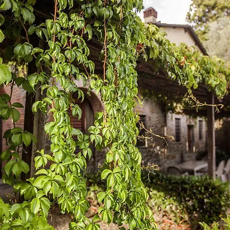 Hu Norcenni Girasole Village Figline Valdarno